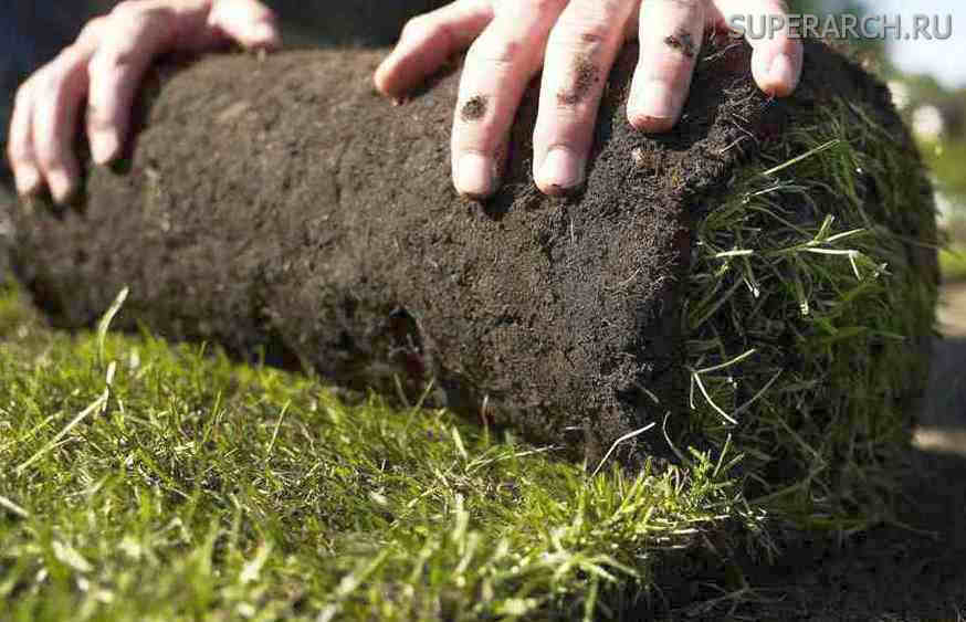 Как уложить рулонный газон